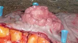 ##IMAGE##