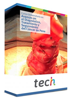courseInfo