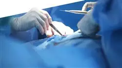 curso online capacitacion practica actualizacion cirugia general