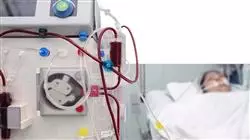 ##IMAGE##