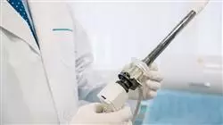 cursos suelo pelvico