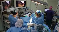 experto cirugía esofagogástrica y bariátrica