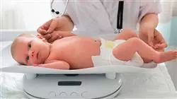 ##IMAGE##