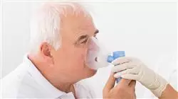 ##IMAGE##