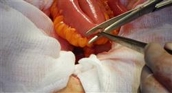 master semipresencial cirugia urologica uno