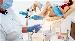 master semipresencial ginecologia oncologica dos