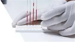 ##IMAGE##