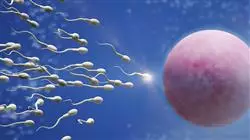 posgrado preservacion fertilidad