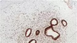 ##IMAGE##
