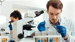 ##IMAGE##