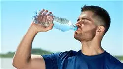 diplomado online nutricion readaptacion rehabilitacion funcional