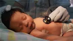 ##IMAGE##