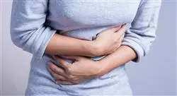 curso nutrición en patologías del aparato digestivo para medicina