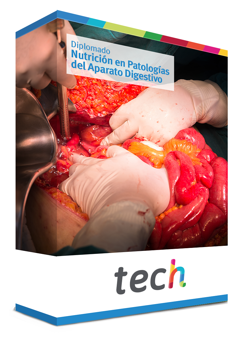 diplomado nutricion patologias aparato digestivo medicina caja