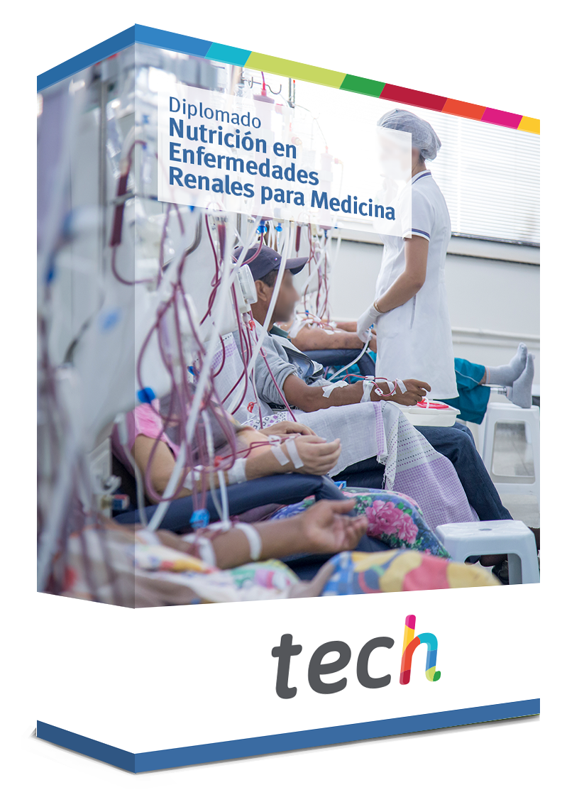 diplomado nutricion enfermedades renales medicina caja