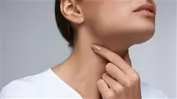 ##IMAGE##
