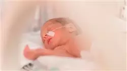 ##IMAGE##