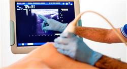 especializacion online ecografía clínica abdominal y músculo esquelética para emergencias y cuidados críticos