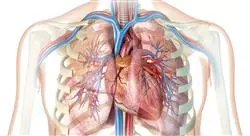 curso fitoterapia de las afecciones cardiovasculares y respiratorias