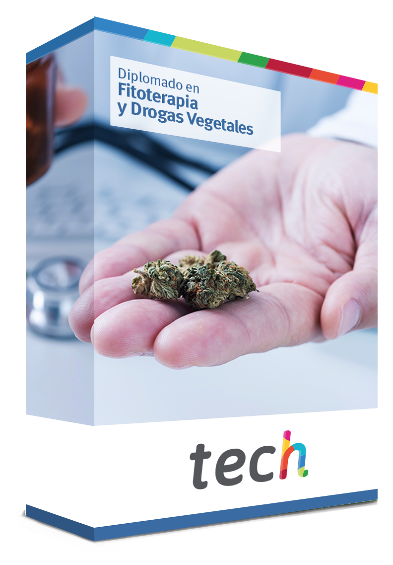 diplomado fitoterapia drogas vegetales caja