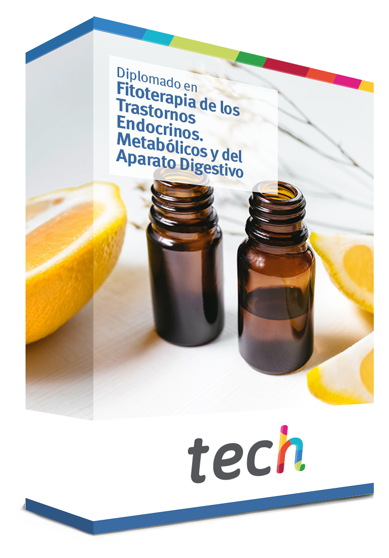 diplomado fitoterapia trastornos endocrinos metabolicos aparato digestivo caja