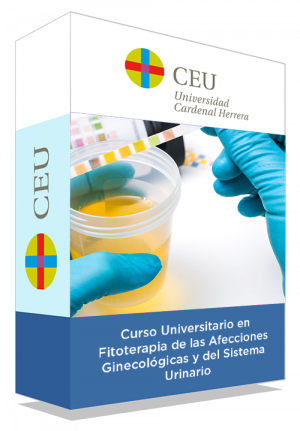 courseInfo