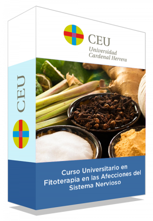 courseInfo