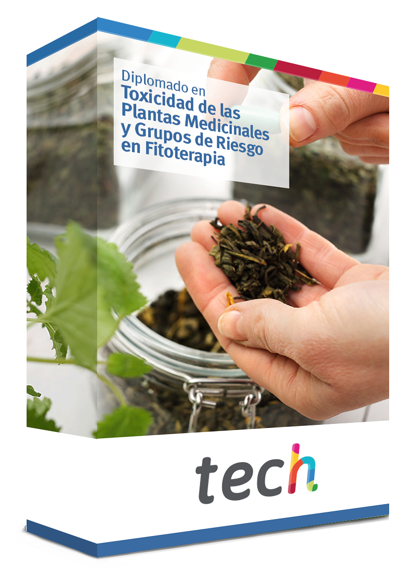 diplomado toxicidad plantas medicinales grupos riesgo fitoterapia caja