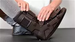 ##IMAGE##