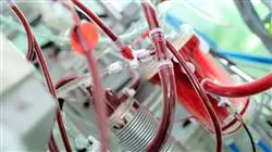 magister medicina transfusional patient blood management