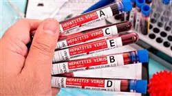 diplomado online metodos diagnosticos tecnicas investigacion