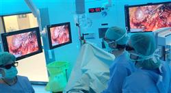 experto cirugía endoscópica en oncología ginecológica