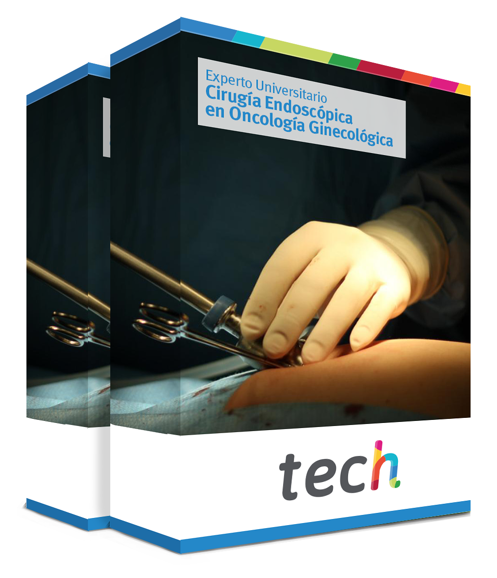 especializacion cirugia endoscopica oncologia ginecologica caja