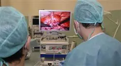 especialización cirugía histeroscópica
