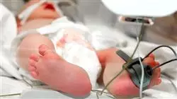 ##IMAGE##