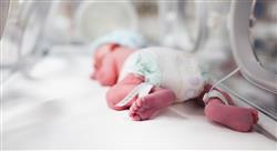 especializacion online infección en el periodo neonatal