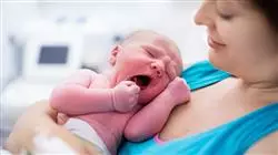 ##IMAGE##