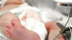 ##IMAGE##