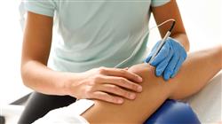 diplomado electroterapia snc snp