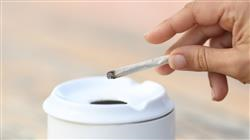 curso online intervencion tabaquismo medicos