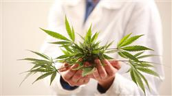 diplomado intervencion cognitivo conductual adiccion cannabis medicos