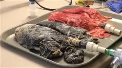 ##IMAGE##