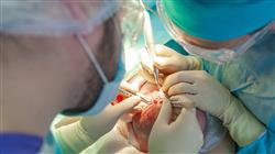 curso trasplante capilar