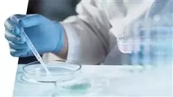 ##IMAGE##
