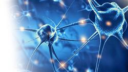 curso capacitacion enfermedades neurodegenerativas