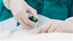 especializacion online intervencion medica guiada imagen