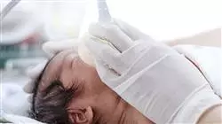 ##IMAGE##