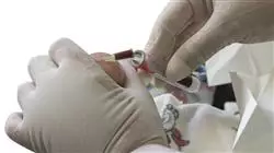 ##IMAGE##
