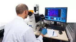 ##IMAGE##