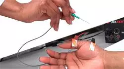 ##IMAGE##